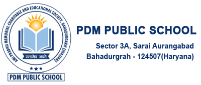 PDM PUBLIC SCHOOL